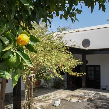 Casa Cris Semesterbostad Puerto del Carmen (Lanzarote)
